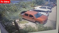 LiveLeak - Thieves with stroller steal shark from San Antonio aquarium