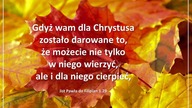 Audycja Wyzwolony - Brady Evans