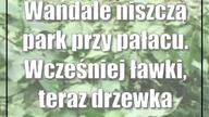 Wandale niszczą park przy pałacu.  Wcześniej ławki, teraz drzewka