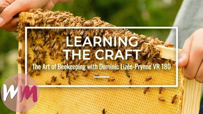 VR 180: The Art of Beekeeping | Ep 3 [Honey Collecting/Up Close with Bees]