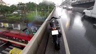 Motocyklista ratuje kotka przed śmiercią na drodze