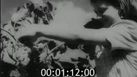 23924