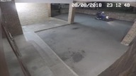 Złodziej idiota