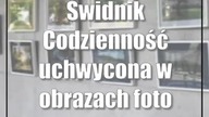 Świdnik: Codzienność uchwycona w obrazach (foto)