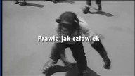 Reklama Żywca: prawie