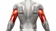 najlepsze ĆWICZENIA na TRICEPS z hantlami