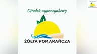 Wiesiek w Żółtej Pomarańczy