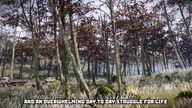 A Boris day in The Zone - S. T. A. L. K. E. R.  animation