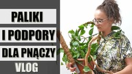 Paliki i podpory pod PNĄCE rośliny doniczkowe VLOG 