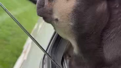 3bd109b1-2836-4b9e-9032-2bfe68130f39