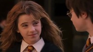 Harry Potter i Kamień cz.  4 Przer&oacute;bka/Parodia