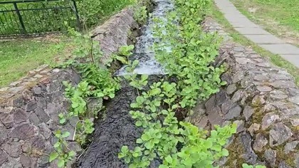Park Oruński