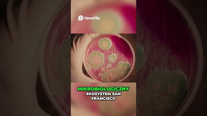 Serratia Tajemnicza bakteria i zagadkowa śmierć w San Francisco