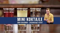 Drinki po studencku #3 - Mini koktajle! Jak zrobić małe drinki z wódką i ciekawym efektem!