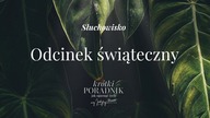 Słuchowisko #56 | Odcinek świąteczny | Krótki poradnik jak ogarnąć życie [PODCAST]