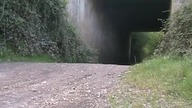 Jeep vs crash test 1-0