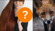 Koniec z Projektem Lis?  PROJEKT LIS #04