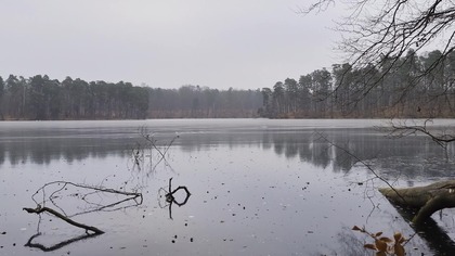 Quiet Lake in Autumn Stillness 3H of Cold, Calm Ambience for Deep Focus