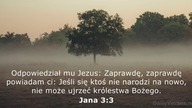 Janek Pajor - Pasterz owce swe