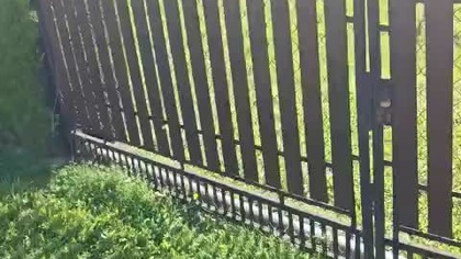 to jest skandal zb.  ocze.  niec gra z moimi dziećmi w piłkę