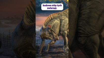 Skamieniałe mumie dinozaurów! #dinozaury #paleontologia
