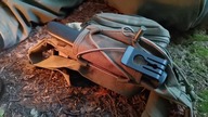 Nerka jako element do transportu EDC?