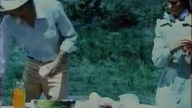 Rój - fragment filmu