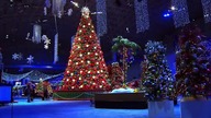 Gwiazdka w Grand Valley (Christmas at Grand Valley) [2018]