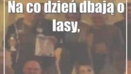 Świdnik: Siatkarskie zmagania leśników (foto)