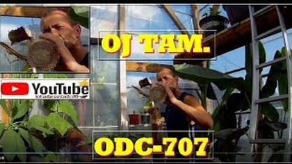 Odc-707-Lubisz rośliny ?? To tego filmu nie ogladaj. #Musa #grand #nain. Cięcie