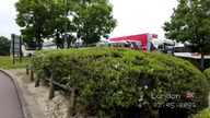 2021 | AMG MERCEDES - BENZ | ENGLAND | RALLY OWNERS | VIDEO SHOOT |