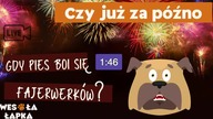 Czy nie jest już za późno aby pomóc psu, który boi się wystrzałów fajerwerków
