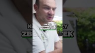 Maleńkie akwarium  #akwarium #shorts