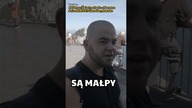Małpy #shorts