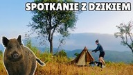 Poranek z dzikiem i najpiękniejsze miejsce na namiot.  Portugalia pieszo #4