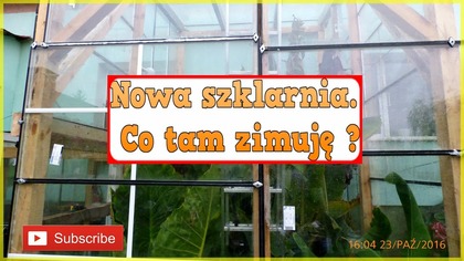 189.  Cz. 1-Nowa szklarnia.  Co tam zimuję ? ciekawerosliny.pl