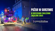 Tragiczny pożar w Gorzowie.  Nie żyje jedna osoby, trzy zostały ranne