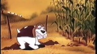 06. Zakończenie do Platynowa kolekcja filmowa 3 - Zakochany pingwin