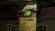  Dlaczego to robią? #jaskinia #claustrophobia #podziemia