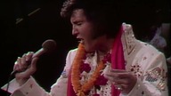 Elvis Presley Long Tall Sally/Whole Lotta Shakin Goin On (Aloha From Hawaii, Live in Honolulu, 1973)
