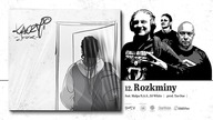 KACZMI x MAŁPA N. A. S.  x DJ WHITE - Rozkminy (prod.  Tas One)