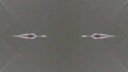 #finger#dance #trendingshorts #popular #video #popular #art #trendingshorts #artist #video