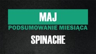 SPINACHE | YURKOSKY | PODSUMOWANIE MAJA 2017