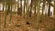 Keane - Somewhere Only We Know