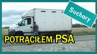PIES || Suchary#11