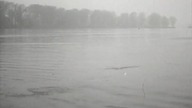 GORĄCZKA (1981)