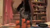 Cup Stacking Girl vs Skrillex
