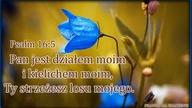 świadectwo - Jan Jedrzejczak