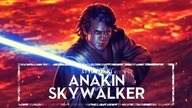 Styl Walki: ANAKIN SKYWALKERHOLOCRON