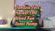 Gandzia Test - Hacker CBG - Weed Fun - Sensi Hemp